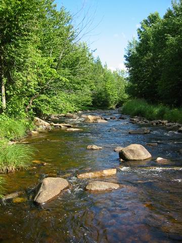 Trout River in Burke, NY (outside of Malone)